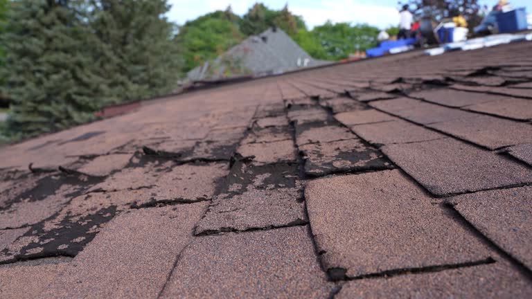 Best Roof Coating and Sealing  in Commerce, TX