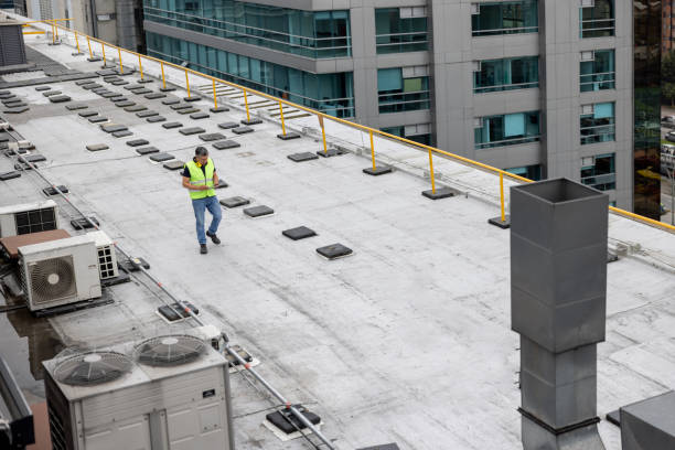 Best Roof Moss and Algae Removal  in Commerce, TX