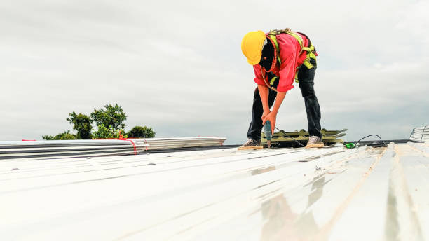 Best Gutter Installation and Repair  in Commerce, TX